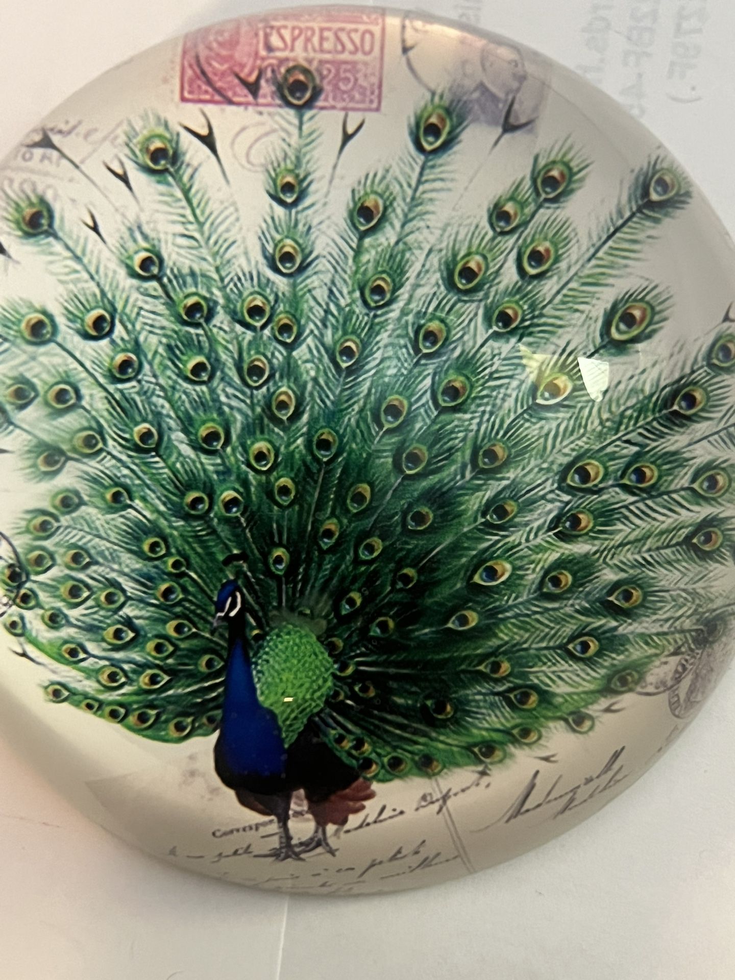 Peacock Postcard Magnifying Art Glass Dome Paperweight 4” Diameter