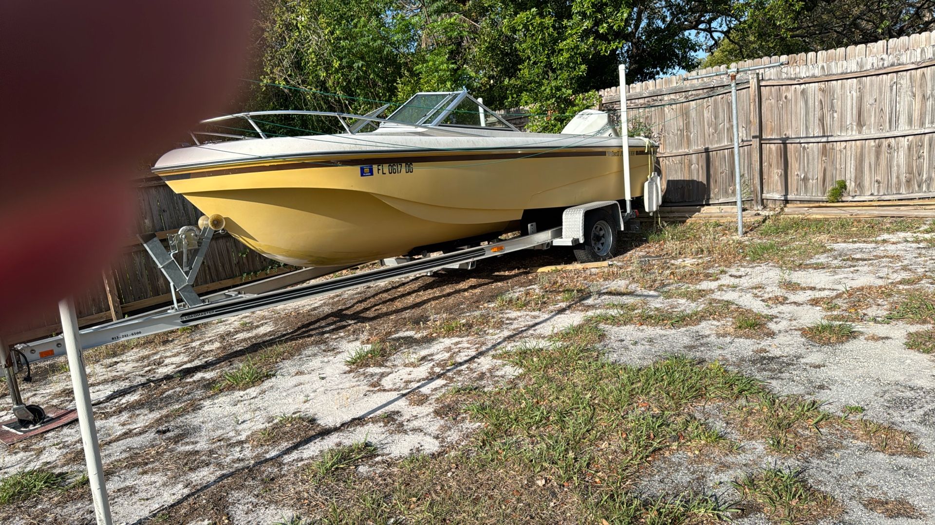 19ft wellcraft AirSlot 250hp Evinrude