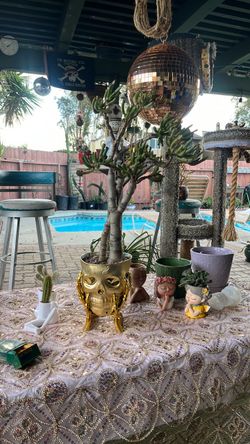 Gold Skull Planter with Succulent Tree