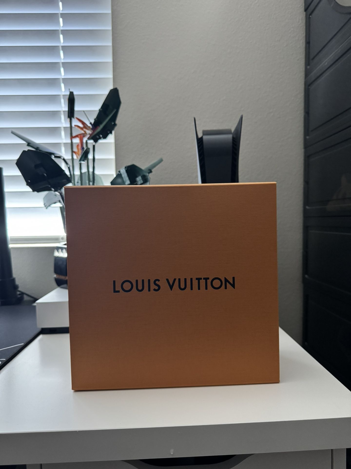 Louis Vuitton Gaston Bag
