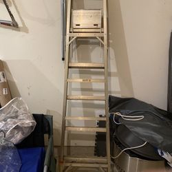 Ladder 6 Ft