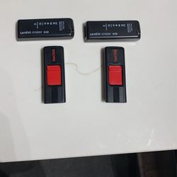 SanDisk Cruzer 8GB Flash Drive