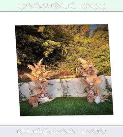 training development Tailored Ceremony Arches Design Your Dream Wedding Setup