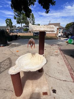 Cat tree