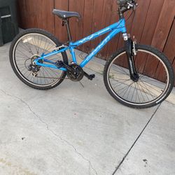 Fuji Absolute 21 Speed Tires 26”