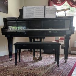 Baby Grand Piano 