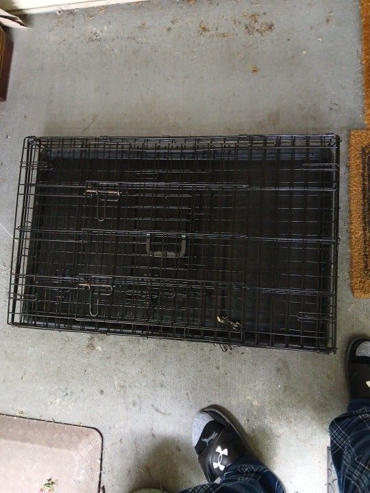 Kennel