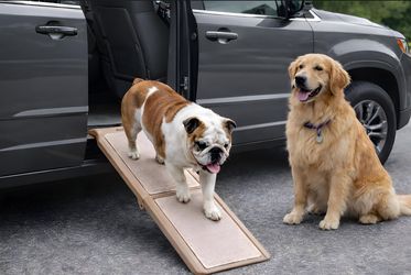 Pet Gear SupertraX Ramp