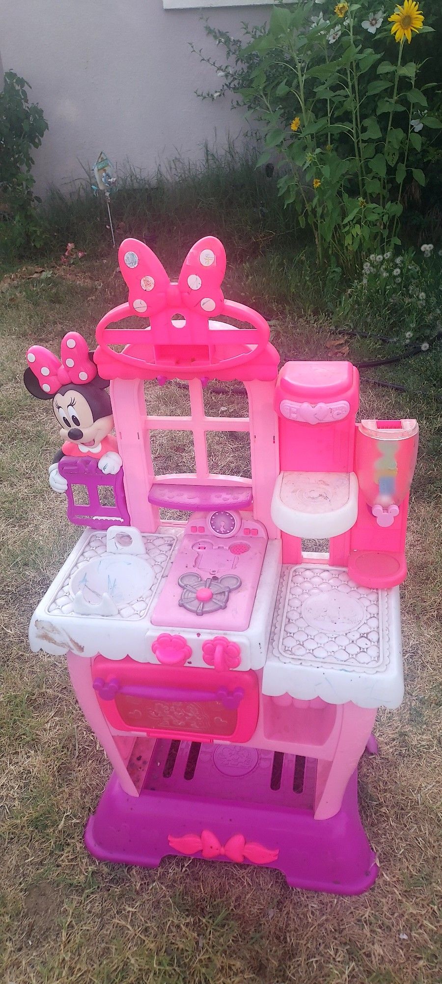 Minnie Mouse Kitchen