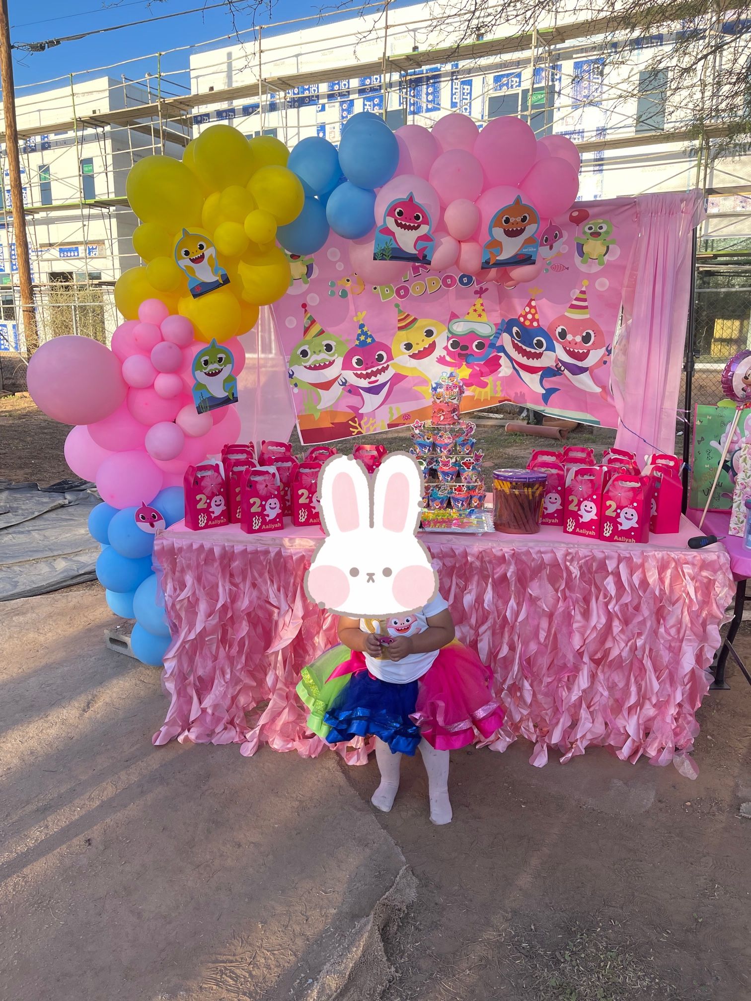 Pink Theme Baby Shark Birthday Decor