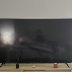 65" TV (Free)