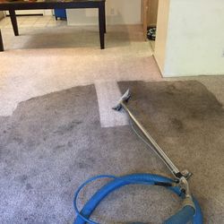 Steam Carpet Cleaner