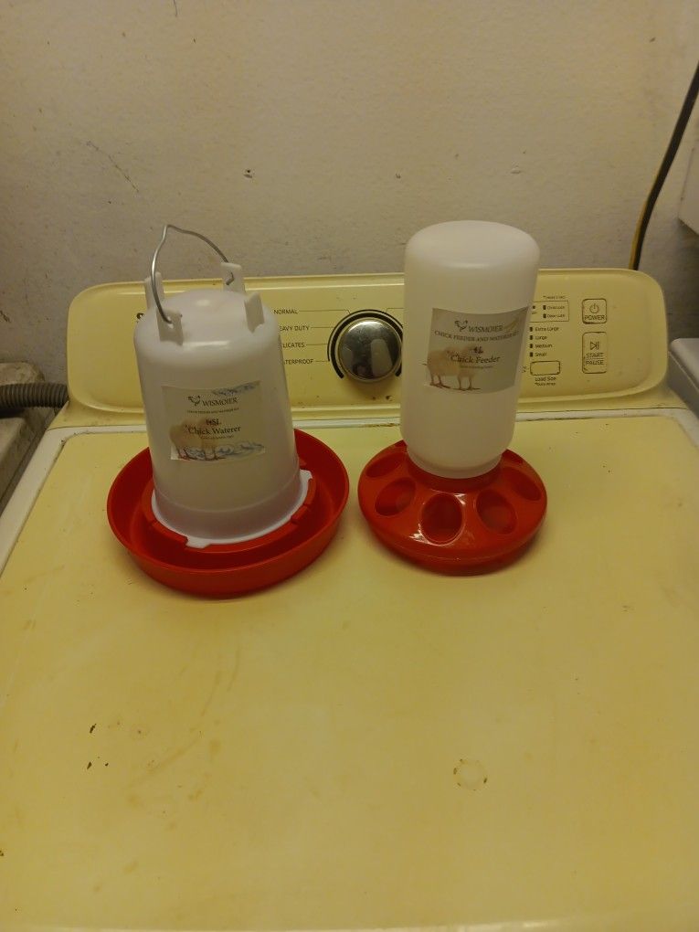 Check water and feeder