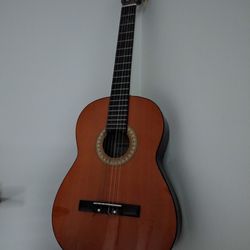 Sanchez Acoustic Guitar