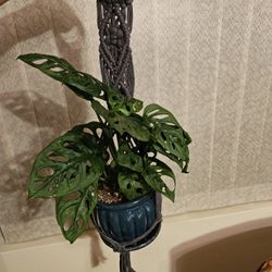 Dark Gray Macrame Plant Holder New 