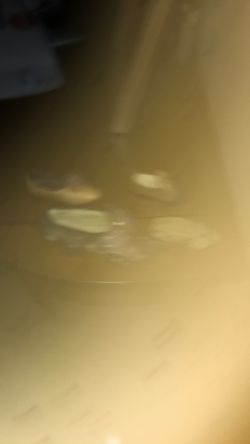 Vintage Ladies Shoes Decor 