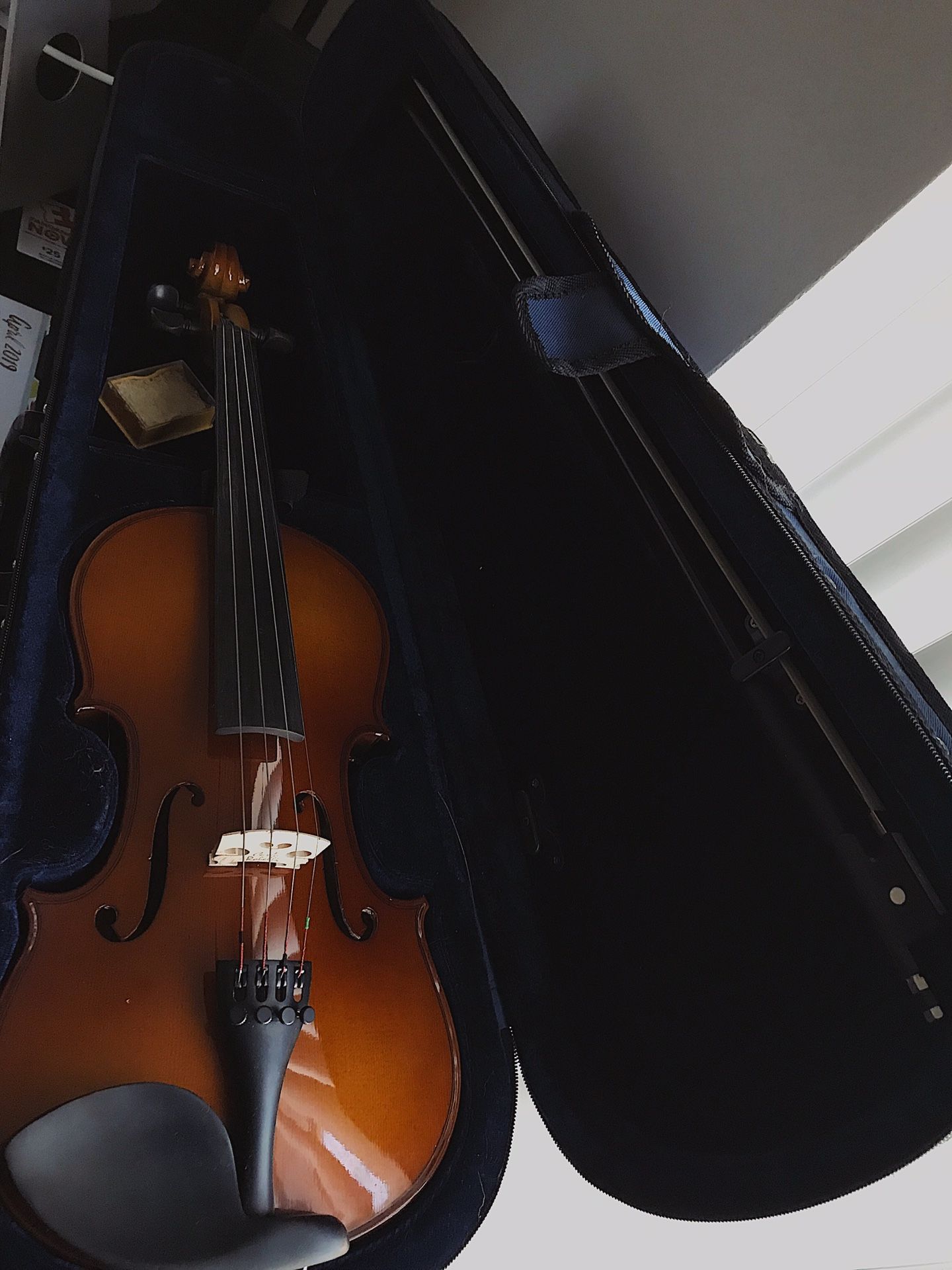 Carlo Robelli Violin