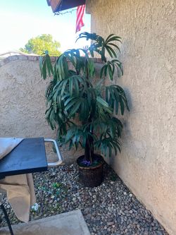 Artificial Plant 5 ft