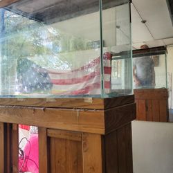55 Gallon Fish Tank