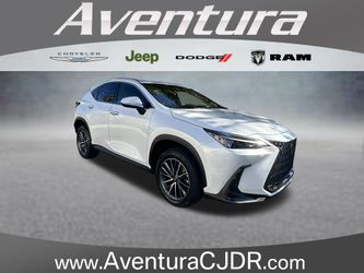 2024 Lexus NX 250