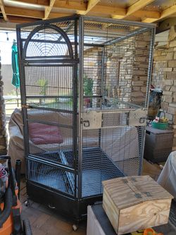 Bird Cage
