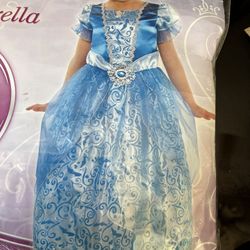 Cinderella costume
