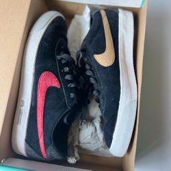 Nike SB Bruin Lost Art 9.5