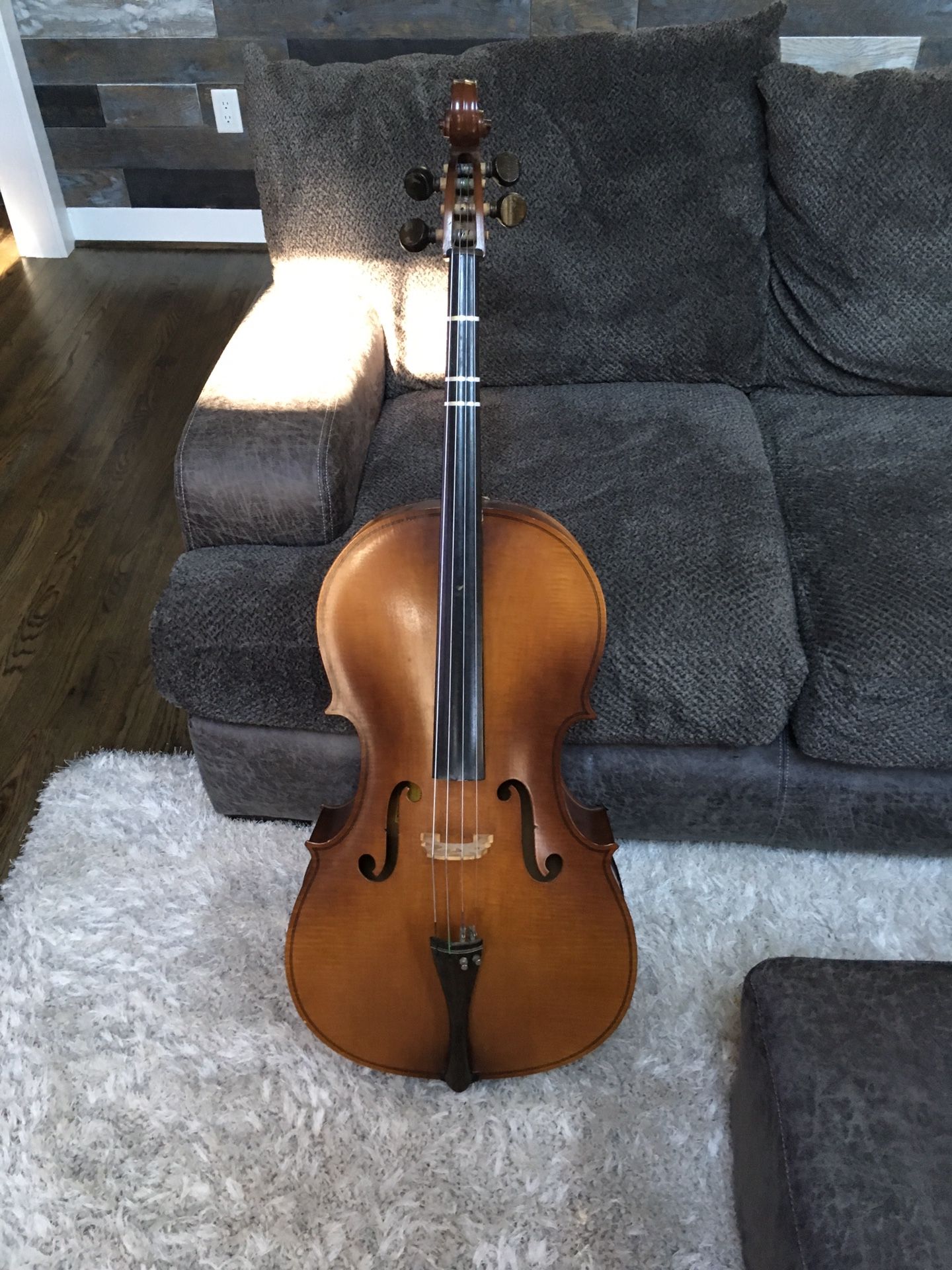 Engelhardt Cello 4/4 size - model e5544