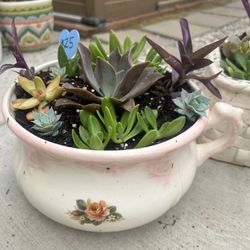 Succulent Planter