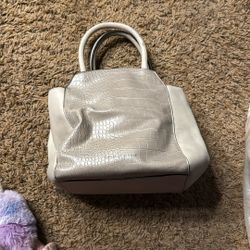 Danielle Nicole Purse