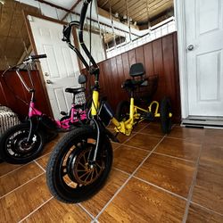 Electric Custom Mini Trikes 