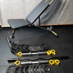 WORKOUT BENCH BARS DUMBBELLS AND WEIGHTS 