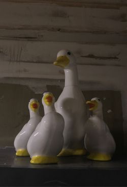 EUC Ceramic ducks for indoor use $10