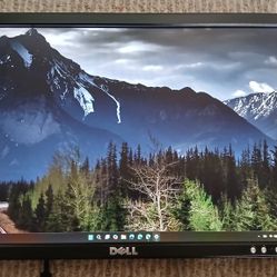 LCD Monitor (DELL E198wfpv)