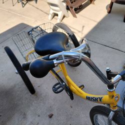 Tricycle Husky 