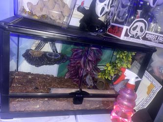 Reptile decorations