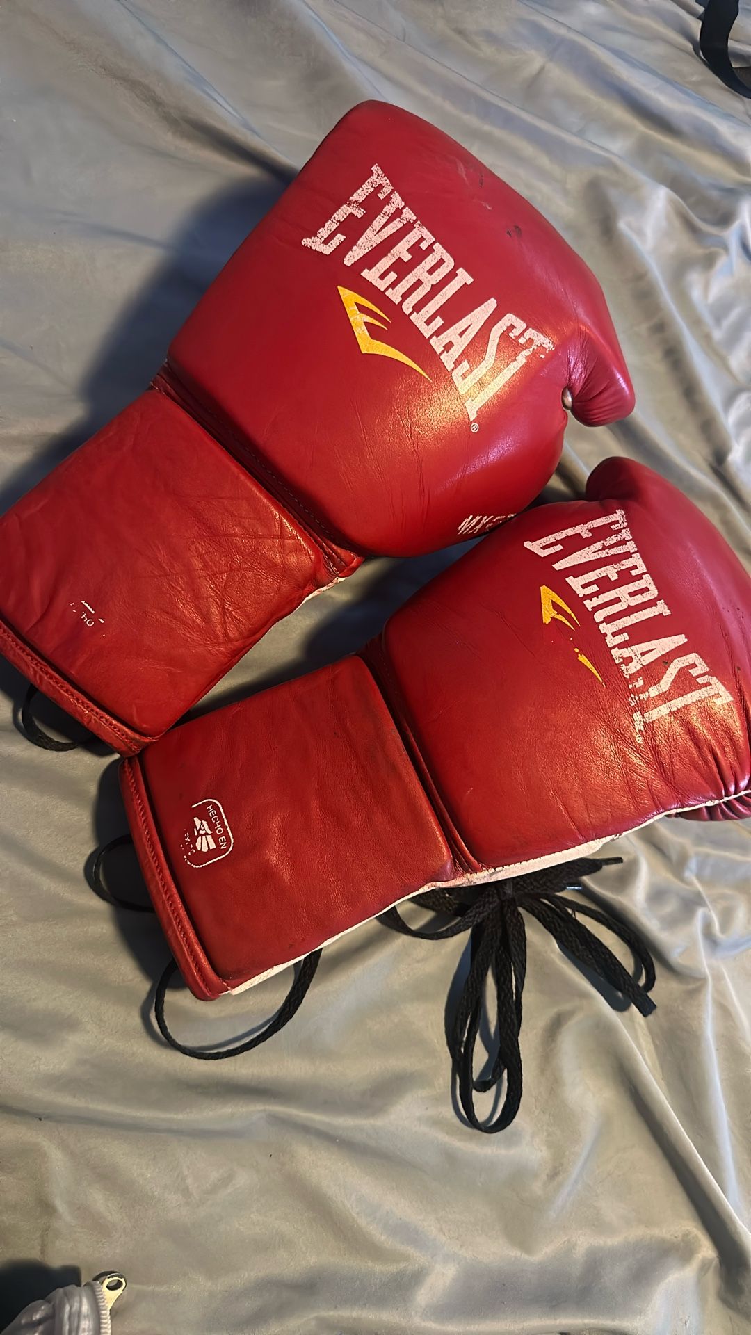 Everlast Mexico Boxing Gloves