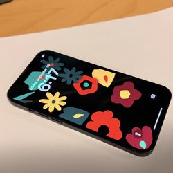 iPhone 13 Libre De Fábrica 250 