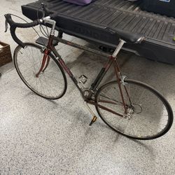 Trek Road Bike Carbon Fiber