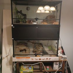2 Reptile Aquariums Double Stack Heat Lamps Lights  Logs Rocks Light Timer Every Thing You Need