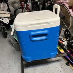 Igloo 60qrt Cooler cube