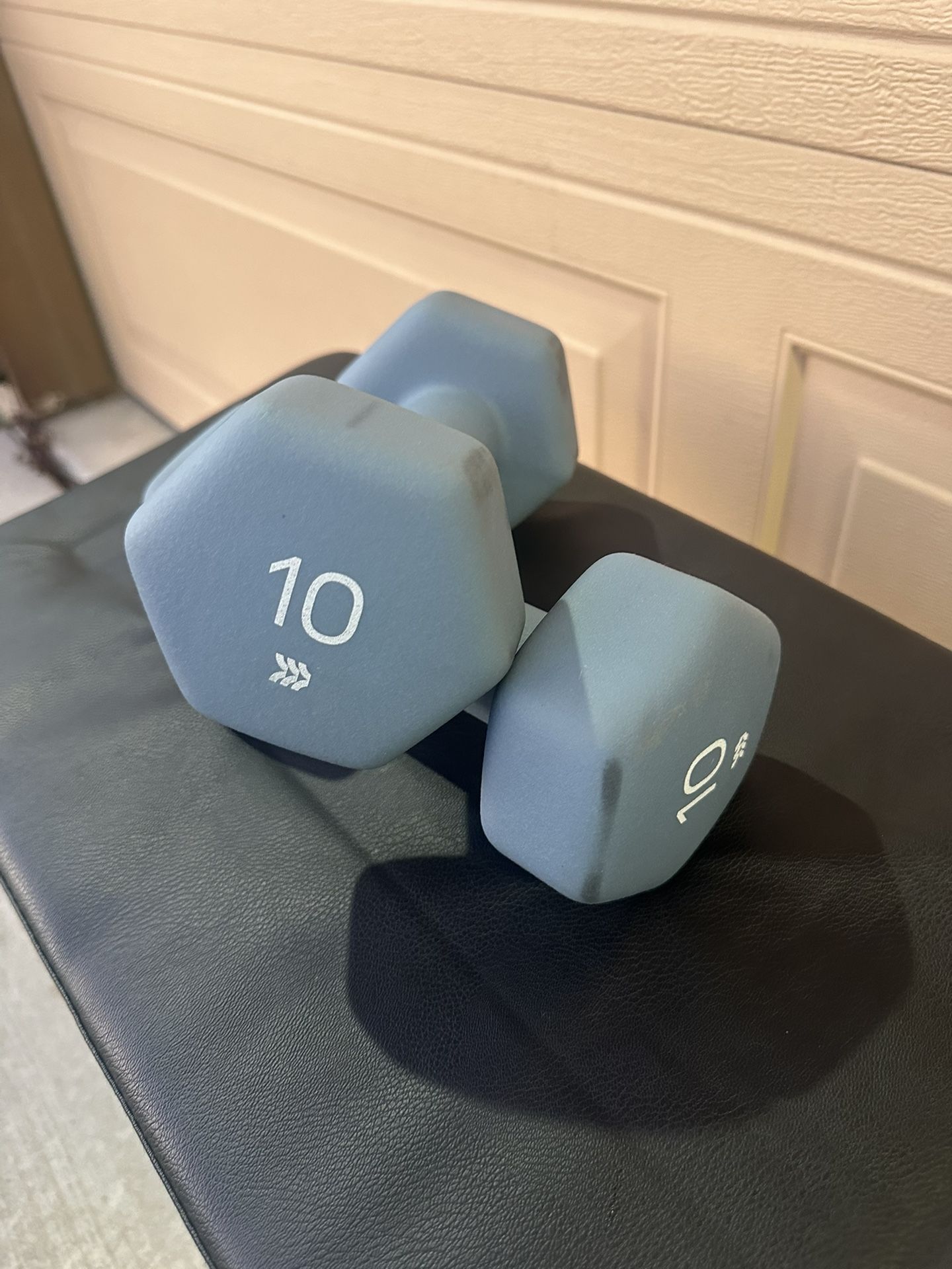 10 Pound Dumbbell Weights