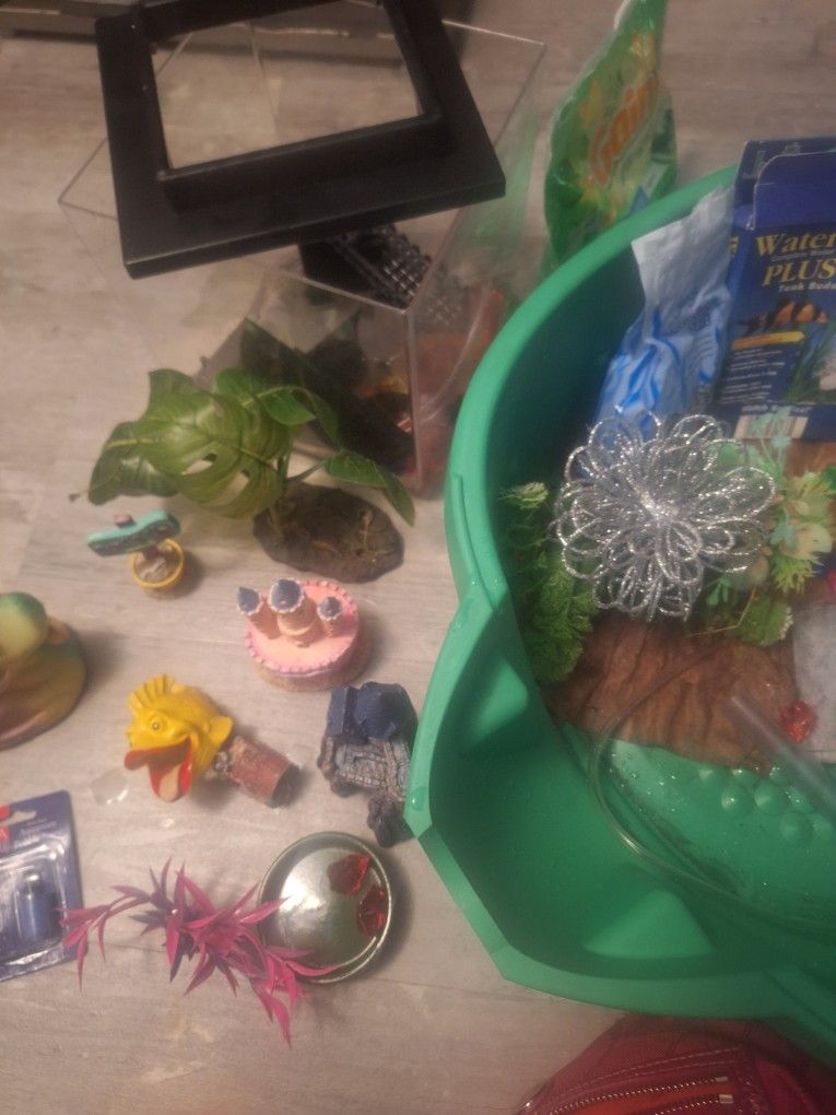 Turtle Sandbox With Several Decor , Rocks,