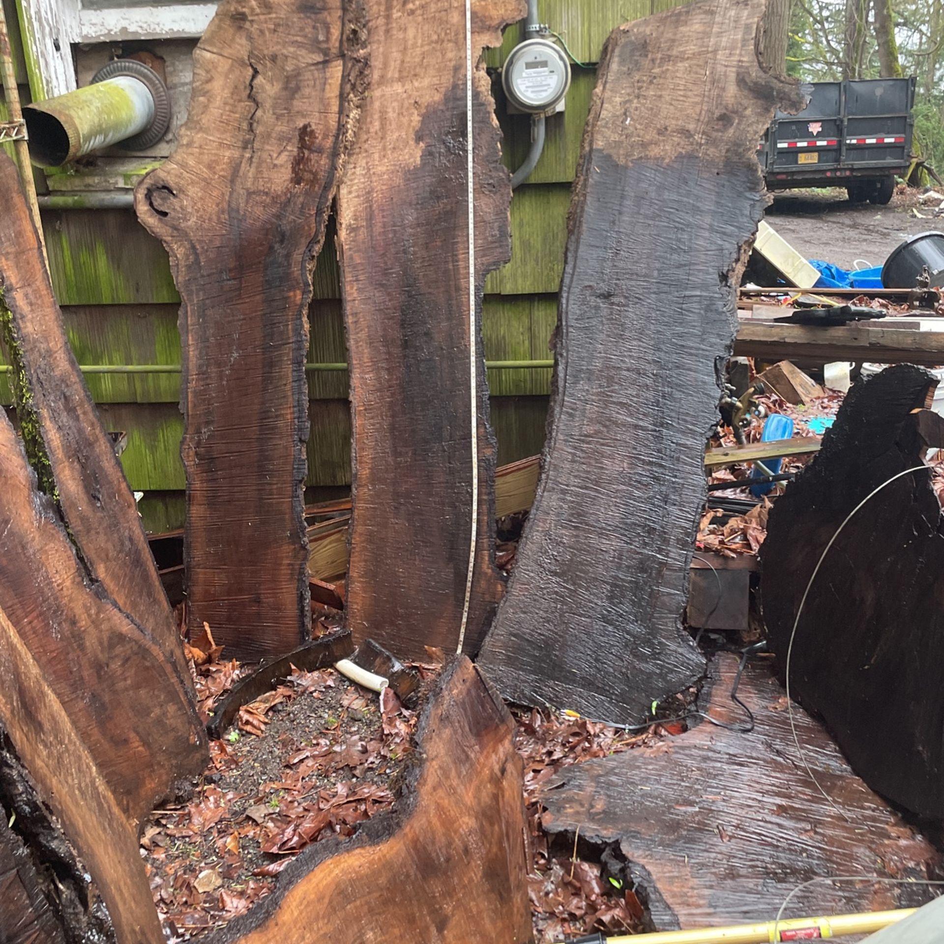 Black Walnut Slabs
