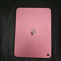 Pink Ipad 10th Generation 