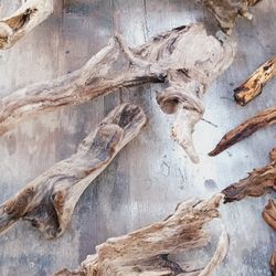 Mother Nature's Artwork