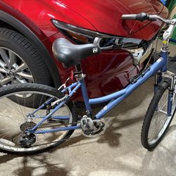 Nishiki Tamarack Womens Bike