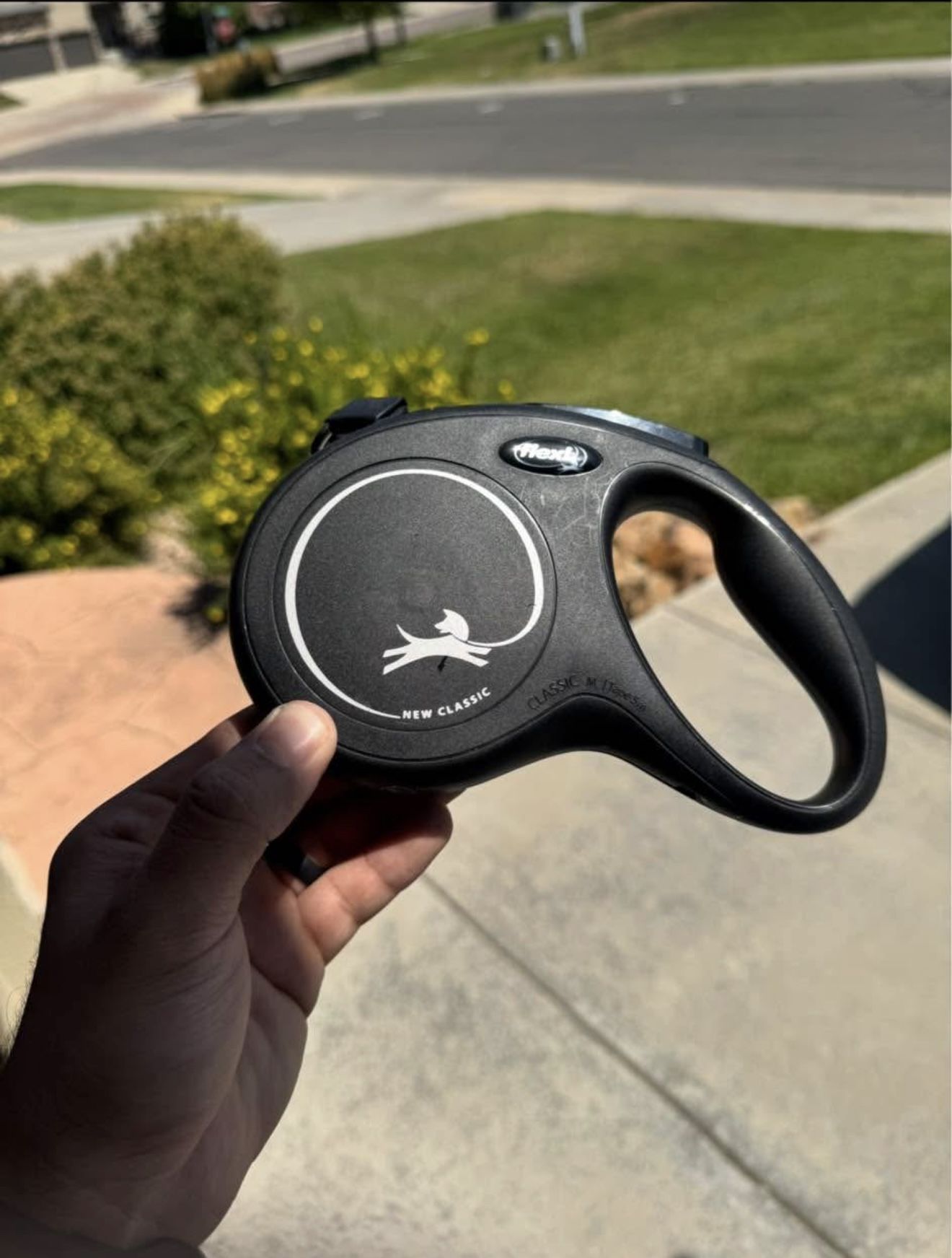 Extending Dog Leash 