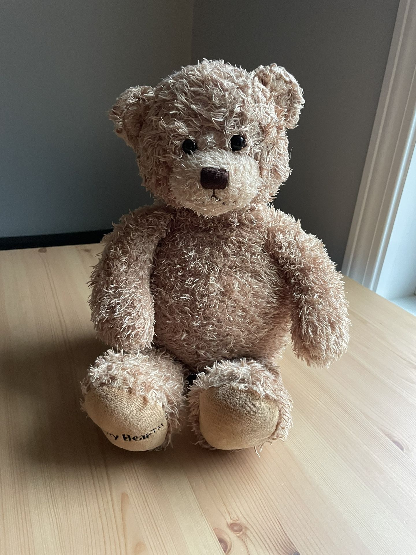 Large Gund Teddy Bear Plush With Soft Curly Fur