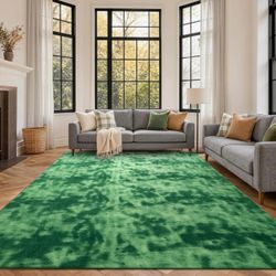 Area rug 6’x9’ feet